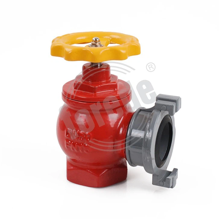 Ductile Iron Fire Hydrant Valve